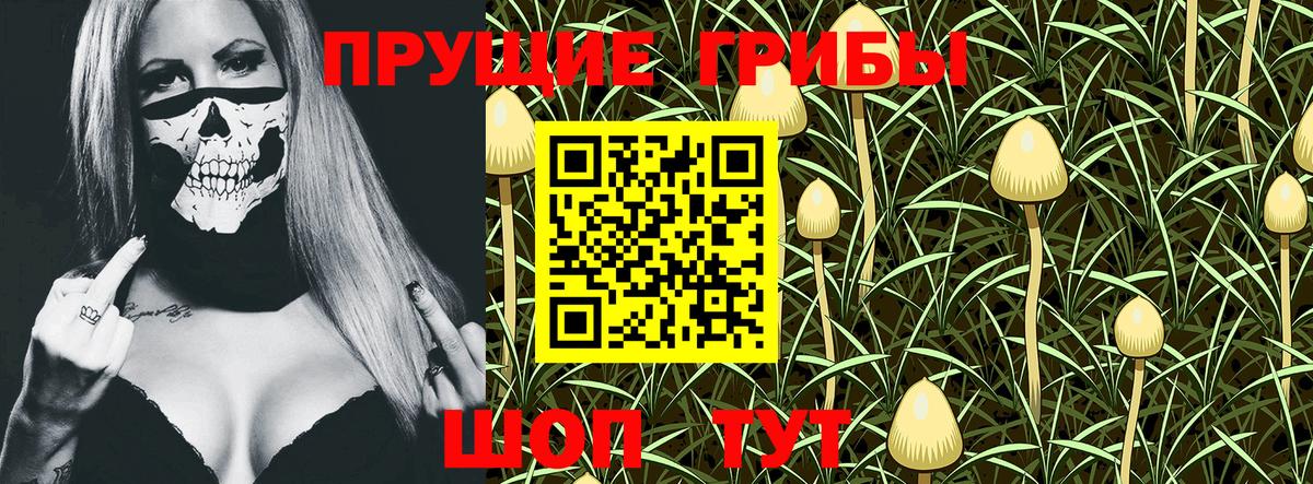 Абинск  Галлюциногенные грибы Psilocybine cubensis  Галлюциногенные грибы Cubensis  Вход с VPN 